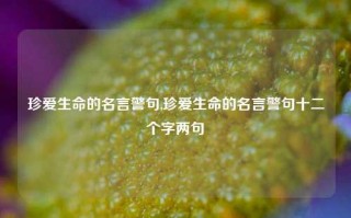 珍爱生命的名言警句,珍爱生命的名言警句十二个字两句