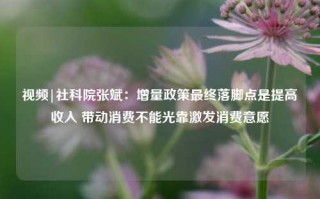 视频|社科院张斌：增量政策最终落脚点是提高收入 带动消费不能光靠激发消费意愿