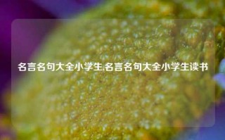 名言名句大全小学生,名言名句大全小学生读书