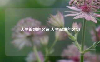 人生追求的名言,人生追求的名句