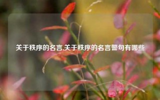 关于秩序的名言,关于秩序的名言警句有哪些