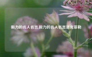 毅力的名人名言,毅力的名人名言洛克菲勒