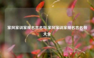 家风家训家规名言名句,家风家训家规名言名句大全