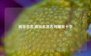 搞笑名言,搞笑名言名句爆笑十字