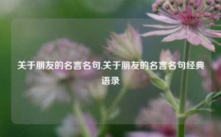 关于朋友的名言名句,关于朋友的名言名句经典语录