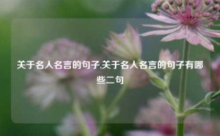 关于名人名言的句子,关于名人名言的句子有哪些二句