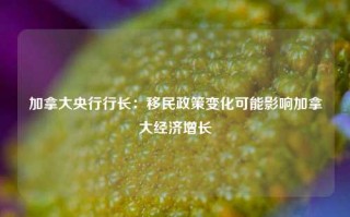 加拿大央行行长：移民政策变化可能影响加拿大经济增长