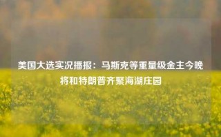 美国大选实况播报：马斯克等重量级金主今晚将和特朗普齐聚海湖庄园