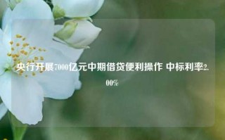 央行开展7000亿元中期借贷便利操作 中标利率2.00%