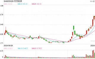 世茂能源拟跨界并购 风险不容忽视