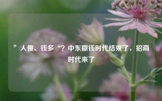 ”人傻、钱多“？中东撒钱时代结束了，招商时代来了