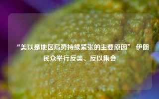 “美以是地区局势持续紧张的主要原因” 伊朗民众举行反美、反以集会