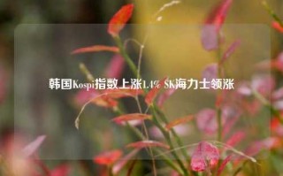 韩国Kospi指数上涨1.4% SK海力士领涨