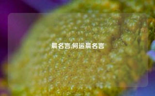 晨名言,何运晨名言