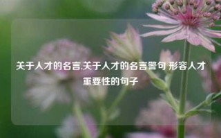 关于人才的名言,关于人才的名言警句 形容人才重要性的句子