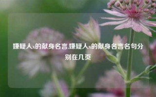 嫌疑人x的献身名言,嫌疑人x的献身名言名句分别在几页