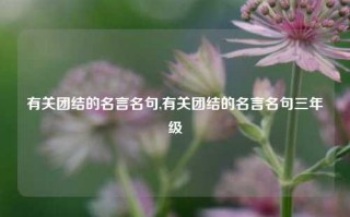 有关团结的名言名句,有关团结的名言名句三年级