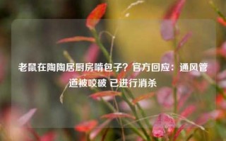 老鼠在陶陶居厨房啃包子？官方回应：通风管道被咬破 已进行消杀