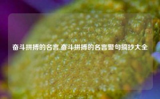 奋斗拼搏的名言,奋斗拼搏的名言警句摘抄大全