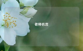 老师名言