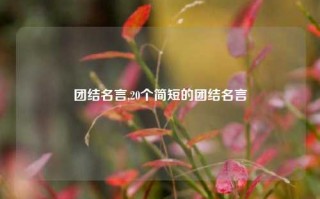 团结名言,20个简短的团结名言