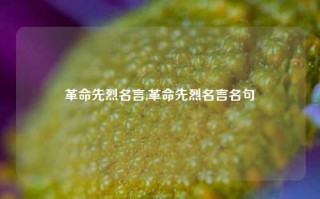 革命先烈名言,革命先烈名言名句