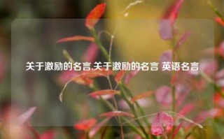 关于激励的名言,关于激励的名言 英语名言