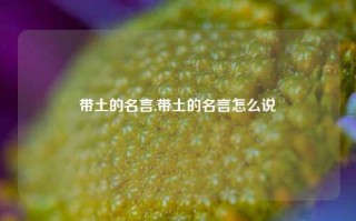 带土的名言,带土的名言怎么说