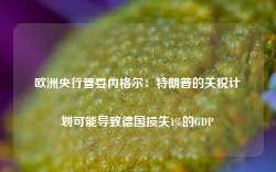 欧洲央行管委内格尔：特朗普的关税计划可能导致德国损失1%的GDP