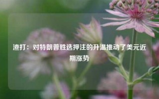 渣打：对特朗普胜选押注的升温推动了美元近期涨势