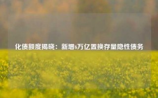 化债额度揭晓：新增6万亿置换存量隐性债务