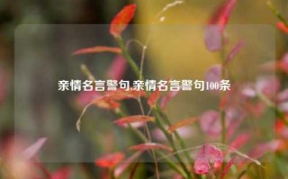 亲情名言警句,亲情名言警句100条