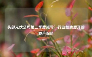 头部光伏公司第三季度减亏，行业触底后开始减产保价