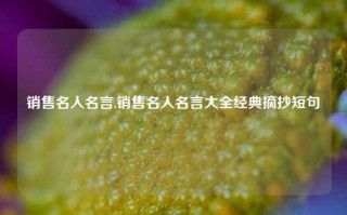 销售名人名言,销售名人名言大全经典摘抄短句