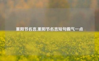 重阳节名言,重阳节名言短句霸气一点