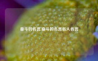 奋斗的名言,奋斗的名言名人名言