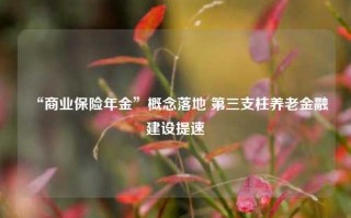 “商业保险年金”概念落地 第三支柱养老金融建设提速