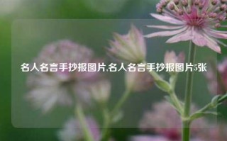 名人名言手抄报图片,名人名言手抄报图片5张