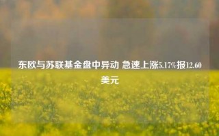 东欧与苏联基金盘中异动 急速上涨5.17%报12.60美元