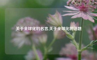 关于全球化的名言,关于全球化的话题