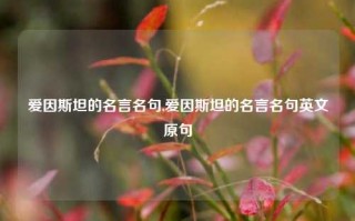 爱因斯坦的名言名句,爱因斯坦的名言名句英文原句