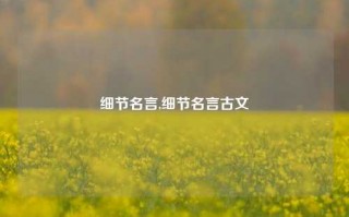 细节名言,细节名言古文