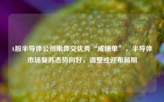 A股半导体公司集体交优秀“成绩单”，半导体市场复苏态势向好，调整或迎布局期