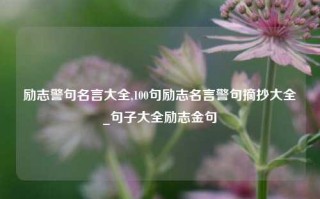 励志警句名言大全,100句励志名言警句摘抄大全_句子大全励志金句