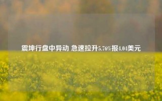 震坤行盘中异动 急速拉升5.76%报4.04美元