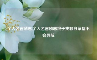 个人名言励志,个人名言励志终于找颗白菜猪不会导航