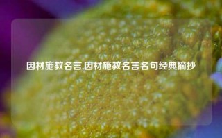 因材施教名言,因材施教名言名句经典摘抄