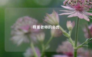 尊重老师的名言