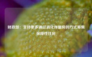 财政部：支持更多通过消化存量房的方式筹集保障性住房