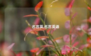 名言英,名言英语